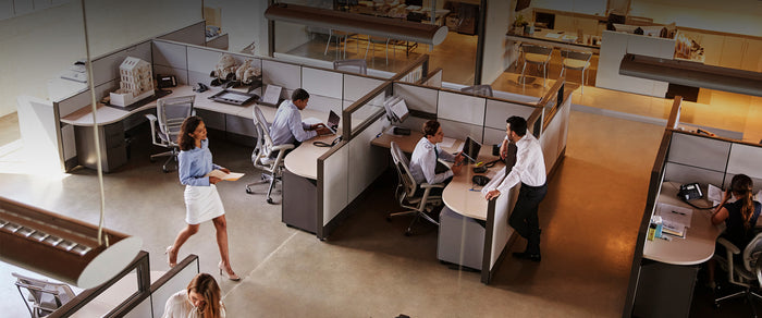 Beautiful ambiences boosts motivation in the office!