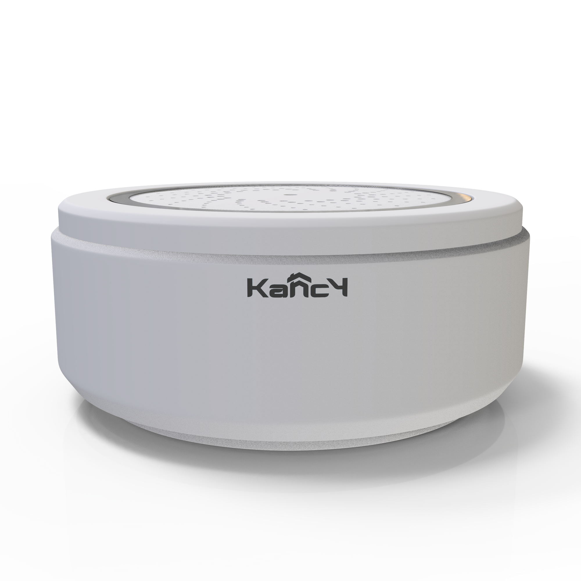 Smart Wifi Temperature and Humidity Sensor with Siren